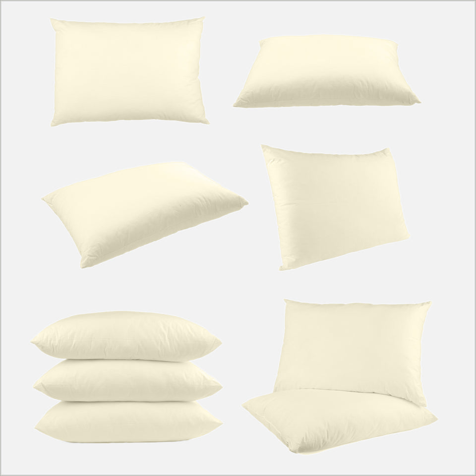 clean pillows wash re-tick re-cover add goose down five sizes stained 